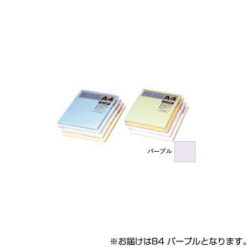 オストリッチダイヤ ニューファインカラーPPC用紙 B4 パープル 500枚入 FPU5-B4【メーカー直送:代金引換不可:同梱不可】【北海道・沖縄・離島は配達不可】