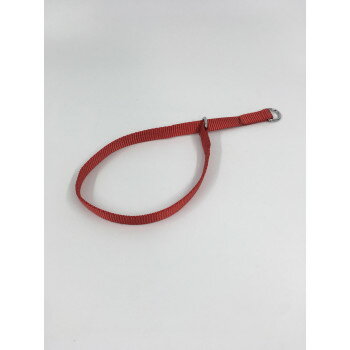 ץѷ꡼ɡեåȥ󥫥顼M55cm  030834ڥ᡼ľԲġƱԲġ̳ۡƻ졦ΥãԲġ