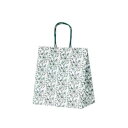 自動紐手提袋 T-5W ボタリカ 1564 50枚【メーカー直送:代金引換不可:同梱不可】【北海道・沖縄・離島は配達不可】