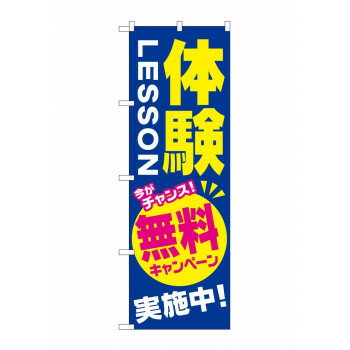のぼり GNB-2131 体験LESSON 無料キャンペ【配送方法:メール便/同梱不可/代引不可/日時指定不可】【北海道 沖縄 離島は配達不可】