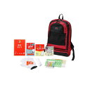 防災用品 女性用10点セット 250010 250010【メーカー直送:代金引換不可:同梱不可】【北海道・沖縄・離島は配達不可】