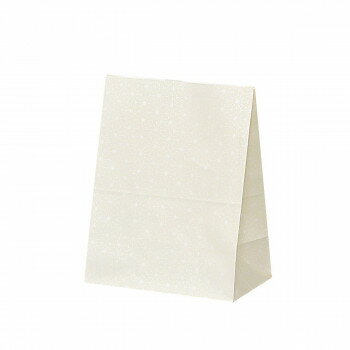 �ϥ��Хå���H300���ۤΤ� 100�� XZK50083�ڥ᡼����ľ�����������Բġ�Ʊ���Բġۡ��̳�ƻ�����졦Υ�����ã�Բġ�