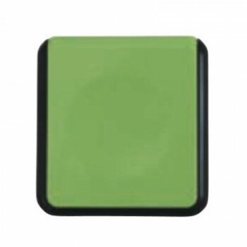 朱肉 シュイングベベ 40号(角型) ライムグリーン SG-BK03【メーカー直送：代金引換不可：同梱不可】【北海道・沖縄・離島は配達不可】