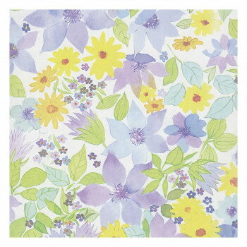 桡ХåȡϻȽ 100 XZK00056ڥ᡼ľԲġƱԲġ̳ۡƻ졦ΥãԲġ