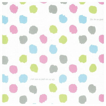 包装紙 No.540 四六全判 100枚 XZK00238【メーカー直送:代金引換不可:同梱不可】【北海道・沖縄・離島は配達不可】