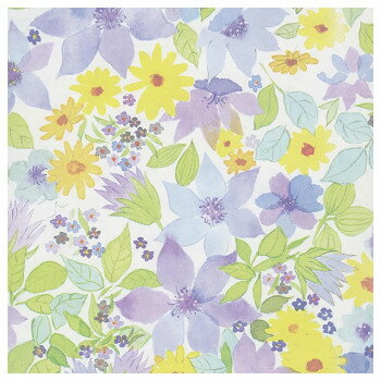 包装紙 バイオレット ハトロン1/2 100枚 XZK00051【メーカー直送:代金引換不可:同梱不可】【北海道・沖縄・離島は配達不可】