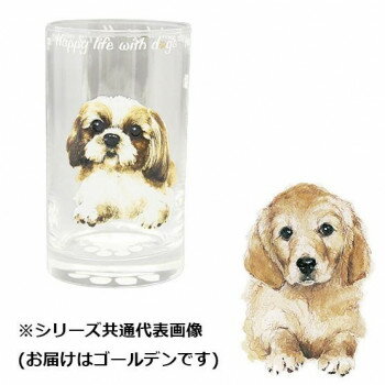 わんコレ ガラスタンブラー ゴールデン wa-gt-S17【メーカー直送：代金引換不可：同梱不可】【北海道・沖縄・離島は配達不可】