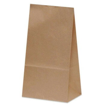 ハイバッグ　H4　耐油角底袋　茶無地 100枚 XZK55301【メーカー直送：代金引換不可：同梱不可】【北海道・沖縄・離島は配達不可】