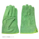 小野商事 エース 現場系女子 牛床革手袋 オイル 外縫い 内綿 グリーン 女性用Mサイズ AG2552【メーカー直送:代金引換不可:同梱不可】【北海道・沖縄・離島は配達不可】