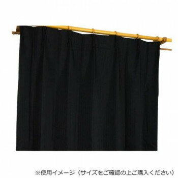 カーテン エクセル 2P100X135 BK 545367000135009【メーカー直送：代金引換不可：同梱不可】【北海道・沖縄・離島は配達不可】