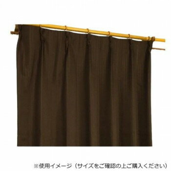 カーテン エクセル 2P100X178 BR 545367000178085【メーカー直送：代金引換不可：同梱不可】【北海道・沖縄・離島は配達不可】