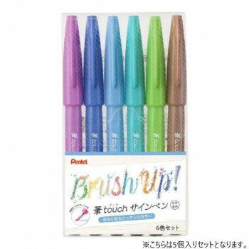 ぺんてる 筆タッチサインペン 6色セットC SES15C-6STC 5個入【メーカー直送：代金引換不可：同梱不可】【北海道・沖縄・離島は配達不可】