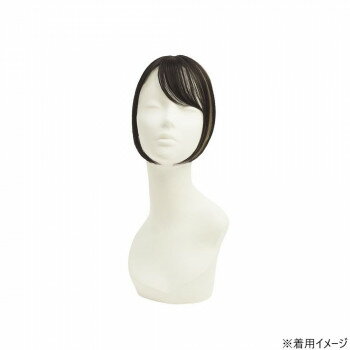 プリシラ ちょびっと白髪かくし スタンダード ナチュラルブラックハイメッシュ ST-012-2NHM【メーカー..