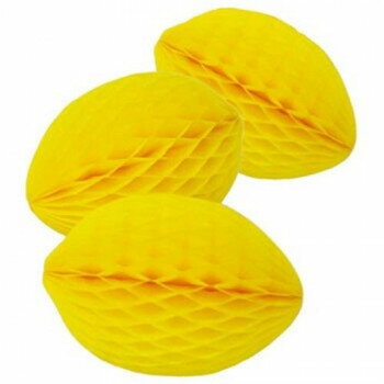 �ϥ˥���ǥ��졼����󡡥ե롼�� ����3���� 1030�ڥ᡼����ľ�����������Բġ�Ʊ���Բġۡ��̳�ƻ�����졦Υ�����ã�Բġ�