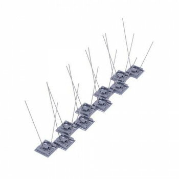 �˥塼�С��� BF3�С��ɥԥ�(�����������) 1�� ���졼A1-5 100�ܡڥ᡼����ľ�����������Բġ�Ʊ���Բġۡ��̳�ƻ�����졦Υ�����ã�Բġ�