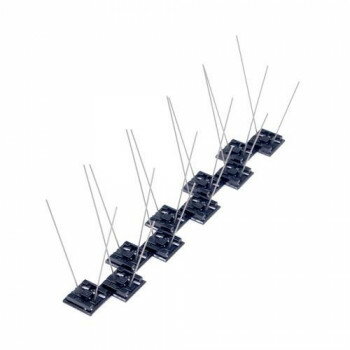 �˥塼�С��� BF3�С��ɥԥ�(�����������) 1�� �֥�å�A1-6 100�ܡڥ᡼����ľ�����������Բġ�Ʊ���Բġۡ��̳�ƻ�����졦Υ�����ã�Բġ�