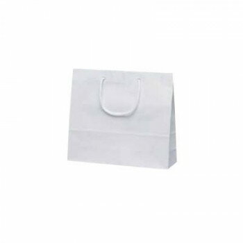 �ե�����Хå������� �ۥ磻�� 1170 10��ڥ᡼����ľ�����������Բġ�Ʊ���Բġۡ��̳�ƻ�����졦Υ�����ã�Բġ�