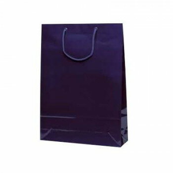 ��������Хå������� �ͥ��ӡ� 1104 10��ڥ᡼����ľ�����������Բġ�Ʊ���Բġۡ��̳�ƻ�����졦Υ�����ã�Բġ�