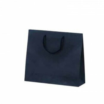 カラークラフト手提袋 T-6 ネイビー 1029 10枚【メーカー直送：代金引換不可：同梱不可】【北海道・沖縄・離島は配達不可】