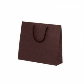 カラークラフト手提袋 T-6 ブラウン 1052 10枚【メーカー直送：代金引換不可：同梱不可】【北 ...