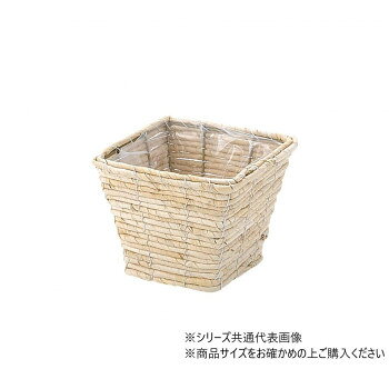大橋新治商店マイススクエアプランタ...
