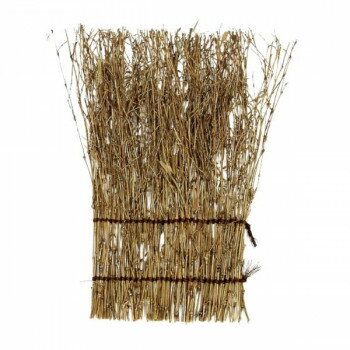 ����(�ޤ�褦) �������� 16cm 21-909�ڥ᡼����ľ�����������Բġ�Ʊ���Բġۡ��̳�ƻ�����졦Υ�����ã�Բġ�