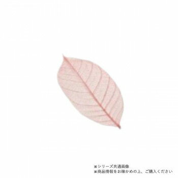 Other - 萬洋(まんよう) カラースカシ木の葉(赤)約13cm50入 18-787B【メーカー直送：代金引換不可：同梱不可】【北海道・沖縄・離島は配達不可】