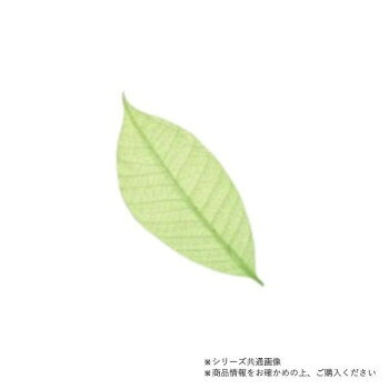 ※パッケージ、デザイン等は予告なく変更される場合があります。※画像はイメージです。商品タイトルと一致しない場合があります。お料理やデザートを華やかに演出します。※カラースカシ木の葉は、水分を含むと食品添加物着色料が溶出する場合がありますが、人体に影響はありません。サイズ約8cm個装サイズ：8×5×3cm重量個装重量：10g素材・材質ゴムの木の葉セット内容50枚入生産国本体:タイ/加工:日本広告文責:株式会社ホームセンターセブンTEL:0978-33-2811※パッケージ、デザイン等は予告なく変更される場合があります。※画像はイメージです。商品タイトルと一致しない場合があります。fk094igrjs