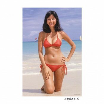 ジグソーパズル 1000ピース アグネス イン ラニカイ (アグネス・ラム)【メーカー直送：代金引換不可：同梱不可】【北海道・沖縄・離島は配達不可】