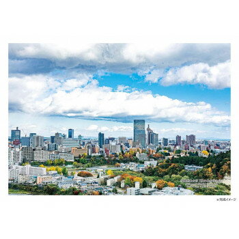 ジグソーパズル 300ピース 日本の都市55 宮城県仙台市「秋の仙台市全景」 300-411【メーカー直送：代金引換不可：同梱不可】【北海道・沖縄・離島は配達不可】