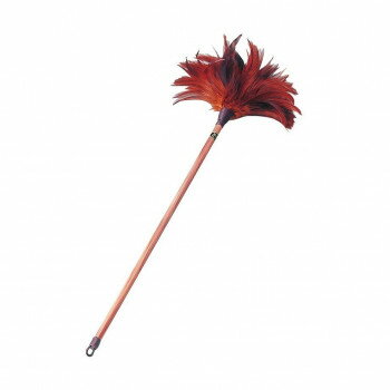 �֤Ĥ���ϥ��� ������ 5���� �� 6225870000001�ڥ᡼����ľ�����������Բġ�Ʊ���Բġۡ��̳�ƻ�����졦Υ�����ã�Բġ�