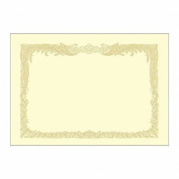 タカ印 OA賞状用紙 クリーム B5判 縦書用 100P 10-1157 100枚【メーカー直送：代金引換不可：同梱不可】【北海道・沖縄・離島は配達不可】