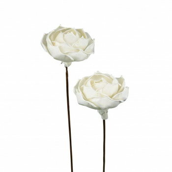 ソラフラワー ステムタイプ7 ナチュラル(1束/2本) Z-0262 ROSE-B 57s4000000002【メーカー直送：代金引..