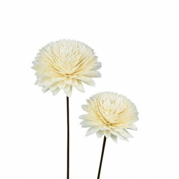 ソラフラワー ステムタイプ7 ナチュラル(1束/2本) Z-0272 MUM-B 57s5000000002【メーカー直送：代金引..