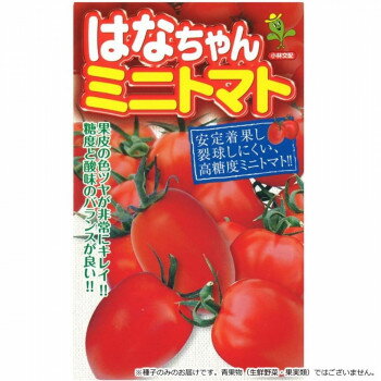 小林種苗 ミニトマト種子 はなちゃん　7210　小袋(11粒)【メーカー直送：代金引換不可：同梱不可】【北海道・沖縄・離島は配達不可】
