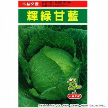 小林種苗 キャベツ種子 輝緑甘藍(きりょくかんらん) 5 小袋(1.5ml)【メーカー直送：代金引換不可：同梱不可】【北海道・沖縄・離島は配達不可】