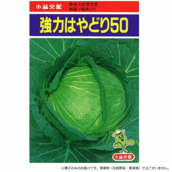小林種苗 キャベツ種子 強力はやどり50 4-17-4 小袋(1.2ml)【メーカー直送：代金引換不可：同梱不可】【北海道・沖縄・離島は配達不可】