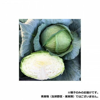 樂天商城 - 小林種苗 キャベツ種子 藍王　6600　小袋(0.7ml)【メーカー直送：代金引換不可：同梱不可】【北海道・沖縄・離島は配達不可】