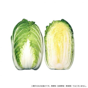 ���Ӽ��� �ϥ�������� CR���ڡ�5454��������L5000γ�ڥ᡼����ľ�����������Բġ�Ʊ���Բġۡ��̳�ƻ�����졦Υ�����ã�Բġ�