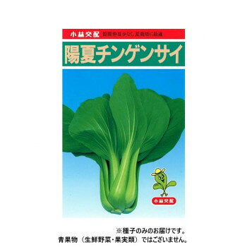 ※パッケージ、デザイン等は予告なく変更される場合があります。※画像はイメージです。商品タイトルと一致しない場合があります。草姿は立性で尻張りが良く葉型はやや細めの長円形で厚みがあり、葉色は濃くつやがあります。葉数が多いので収穫時に外葉を多めに切り落としても形が崩れず、荷姿が美しい。葉柄はやや細めだが肉厚の中脚となります。収穫までの日数は他の交配種よりも2〜3日多くかかりますが強健で作りやすい。夏期栽培で問題となる節間伸長が少なく株揃いが良いので上物を多収できます。また、特にハウス栽培で出やすいカッピング症状も少ない。※種子は播種後の栽培条件、天候事情により、その結果が異なる場合がございます。万が一、結果不良でも保証はできかねます。【栽培のポイント】・元肥中心で、10アール当たり苦土石灰100kg、各成分量で15kg程度とし、夏場半分位に減肥してください。堆肥などの有機物は十分施肥すると良いです。・普通は幅120cm〜150cmの畝に高温期は15×15cm・低温期は12cm×12cmの栽植距離で2〜3粒ずつ点播し、本菜2〜3枚までに間引く、移植栽培の場合は100cm〜120cmの畝に7〜8cmで条蒔きするかバラ蒔きして、子菜展開後に密生している所を1cm間隔となるように間引いてください。また、育苗箱やプラグポットなどを利用するところが増えています。育苗中は乾燥や多湿に注意し、均一な苗を作るように心掛ける。・露地では株間を15×15cm前後とし、ハウスではやや広げて15×18cm前後とし本葉3枚前後で定植してください。活着までは十分灌水し、活着後は控えめにし節間の伸長を抑えます。葉が重なりはじめたら少量多回数の灌水を行い、株が倒れるのを防いでください。・露地では白寒冷紗などのトンネル、ハウスでは、遮光ネットなどを利用し、虫害・温度上昇を防いでください。※一部地域(郡部・山間部等)は時間帯指定不可となります。サイズ個装サイズ：20×20×15cm重量個装重量：200g生産国アメリカ広告文責:株式会社ホームセンターセブンTEL:0978-33-2811※パッケージ、デザイン等は予告なく変更される場合があります。※画像はイメージです。商品タイトルと一致しない場合があります。fk094igrjs
