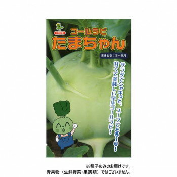 ※パッケージ、デザイン等は予告なく変更される場合があります。※画像はイメージです。商品タイトルと一致しない場合があります。葉、球ともに緑色、球内は白色。球は偏円形となる。早生性で揃いが良く、定植後45日で直径8cmに太り、 定植後55日では直径12cm、高さ8cm、重さ650g程度となる。収穫適期は球径6〜8cm程度であるが、10cmを超えてもスが入らず、裂球もしにくい。耐暑性、耐病性が強く、比較的害虫にも強いので栽培しやすい。皮を剥いて、サラダ、漬物、炒めもの、スープ、煮物など、幅広い料理に利用できます。※種子は播種後の栽培条件、天候事情により、その結果が異なる場合がございます。万が一、結果不良でも保証はできかねます。【栽培のポイント】・株間15〜20cmを目安にする。直播の場合、条蒔きまたは点蒔きして、本葉3〜4枚頃に間引く。・球の横から伸びる葉は、3cm程度残して切り取って、球の肥大を促す。・耐寒性は強くないので、霜が降りるまでに収穫を終える。サイズ個装サイズ：30×20×20cm重量個装重量：100g仕様内容量:1000粒生産国イタリア広告文責:株式会社ホームセンターセブンTEL:0978-33-2811※パッケージ、デザイン等は予告なく変更される場合があります。※画像はイメージです。商品タイトルと一致しない場合があります。fk094igrjs