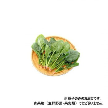 小林種苗 ホウレンソウ種子 天下布武 　7237　M　3万粒【メーカー直送：代金引換不可：同梱不可】【北海道・沖縄・離島は配達不可】