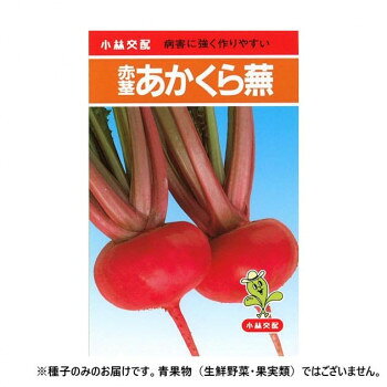 小林種苗 カブ種子 赤茎あかくら 10 小袋(3ml)【メーカー直送：代金引換不可：同梱不可】【北海道・沖縄・離島は配達不可】