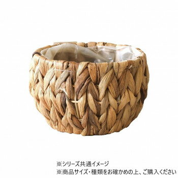 (PP)アミアミ丸 SS(7600031)　7200029【メーカー直送：代金引換不可：同梱不可】【北海道・沖縄・離島は配達不可】