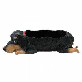 ※パッケージ、デザイン等は予告なく変更される場合があります。※画像はイメージです。商品タイトルと一致しない場合があります。お花を彩るポットです。頭上(プカオ)に花を飾れます。※写真の色合いは実物と異なる場合がございます。サイズ425×195...