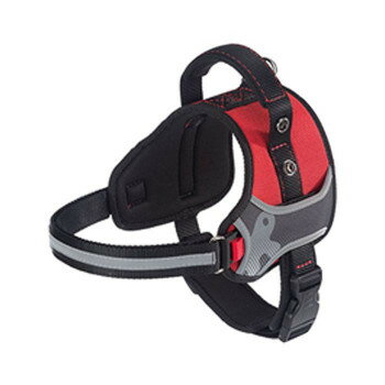 �ե����ץ饹�� �إ饯�쥹 ���ѥϡ��ͥ� M ��å� 75468322�ڥ᡼����ľ�����������Բġ�Ʊ���Բġۡ��̳�ƻ�����졦Υ�����ã�Բġ�