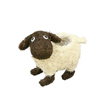 �綶������Ź ���˥ޥ�Х����å� �ҥĥ� 82-248�ڥ᡼����ľ�����������Բġ�Ʊ���Բġۡ��̳�ƻ�����졦Υ�����ã�Բġ�