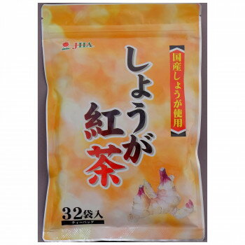 ゼンヤクノー しょうが紅茶 ティーバッグ 80g(2.5g×32包) 002913 ×20袋セット【メーカー直送：代金引換不可：同梱不可】【北海道・沖縄・離島は配達不可】