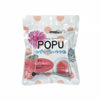 POPU ポリウレタンスポンジ ハウス形 6P×15個セット ISP-PU03【メーカー直送：代金引換不可：同梱不可】【北海道・沖縄・離島は配達不可】