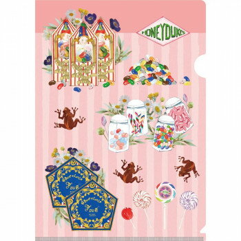 イン・ロック ハリー・ポッター ハリー・ポッター(Magical World) マットファイルセット IG4005【メーカー直送：代金引換不可：同梱不可】【北海道・沖縄・離島は配達不可】